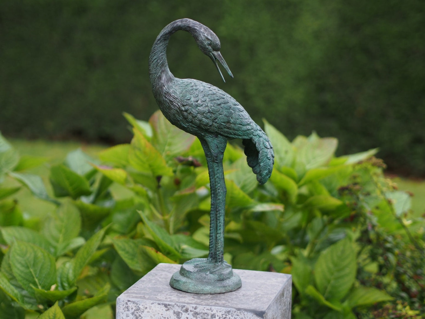 Small Crane Bird Bend Neck