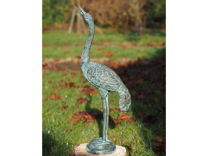 Small Crane Bird
