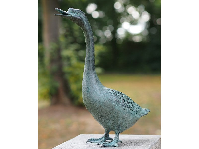 Goose
