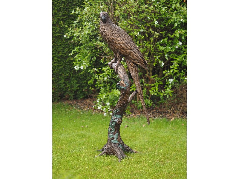 Parrot On Tree