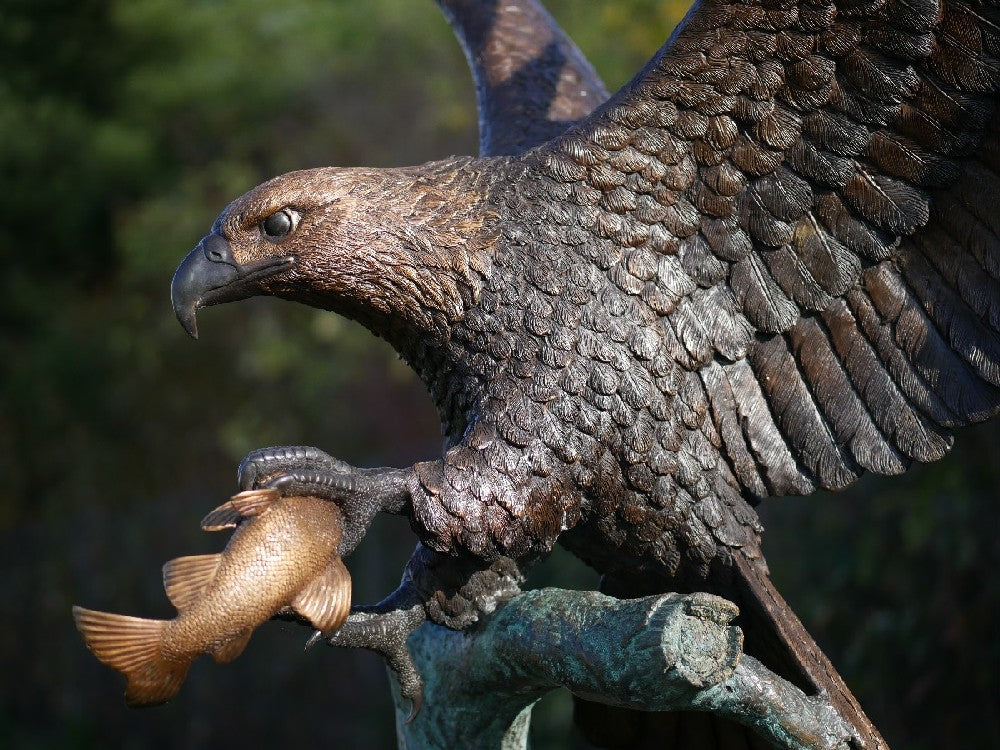 Eagle On Tree