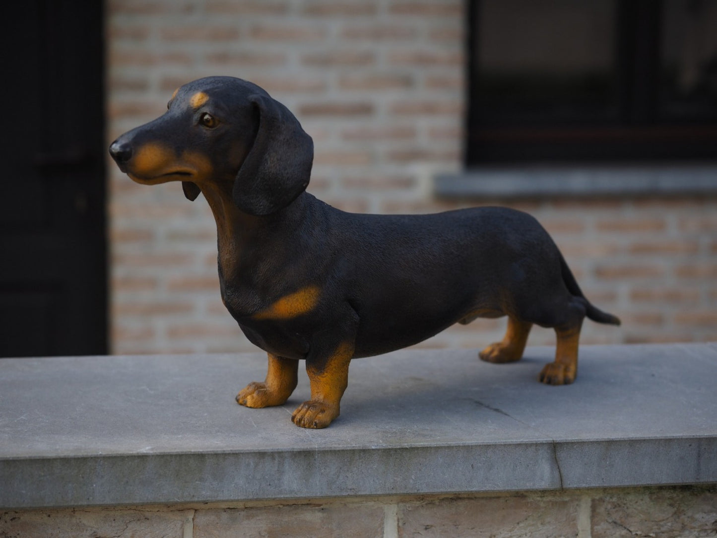 Dachshund Painted