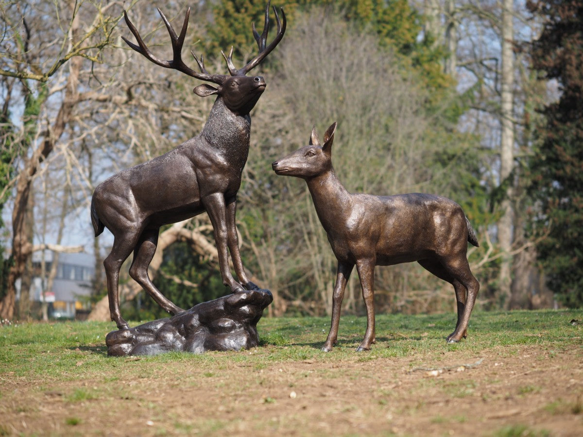 Female deer
