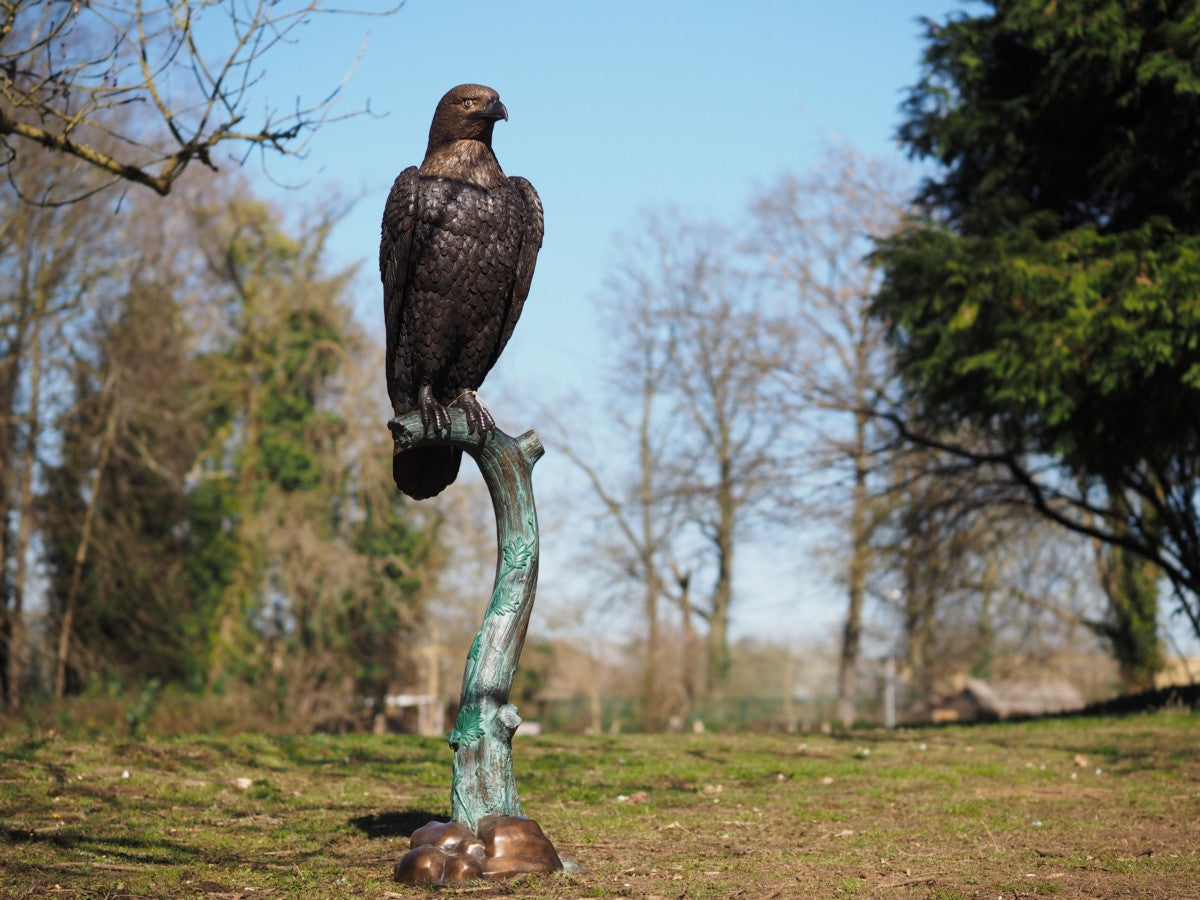 Eagle