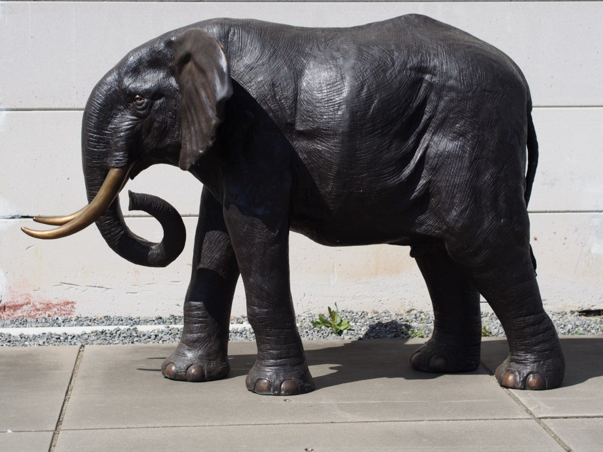 Large Elephant