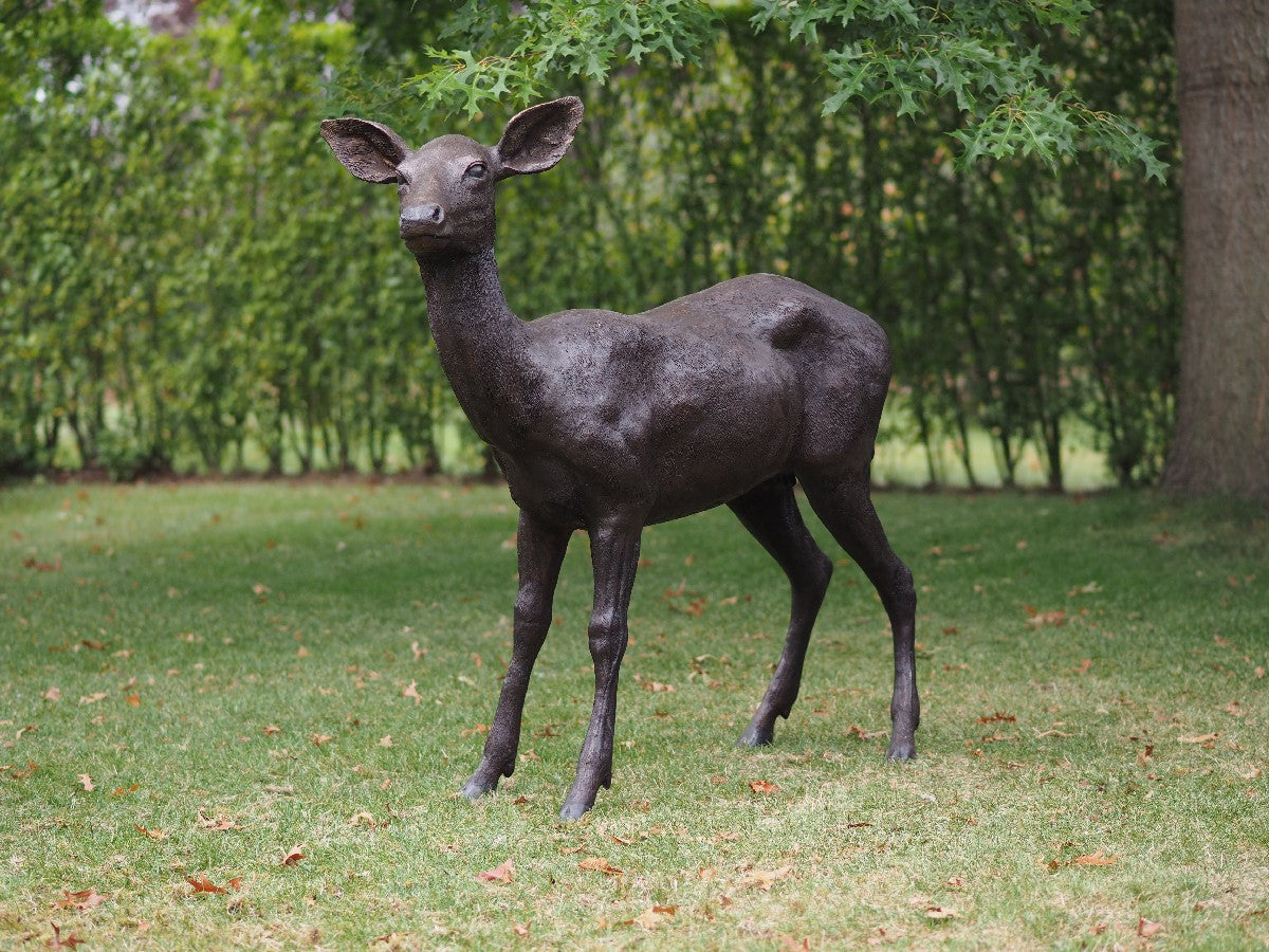 Female Deer