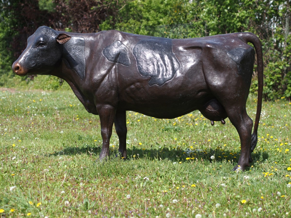 Large Cow