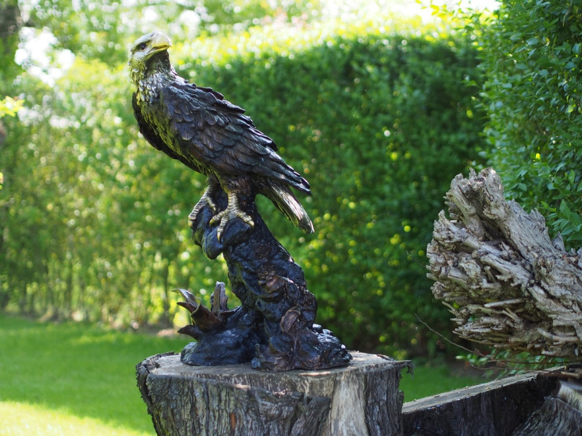 Eagle