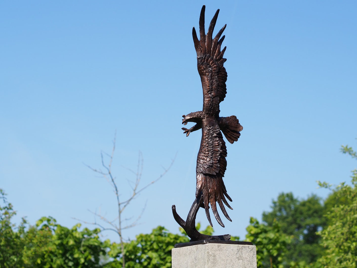 Flying Eagle