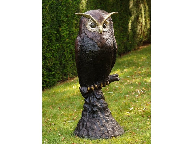 Owl On Rock