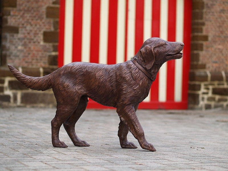 Labrador