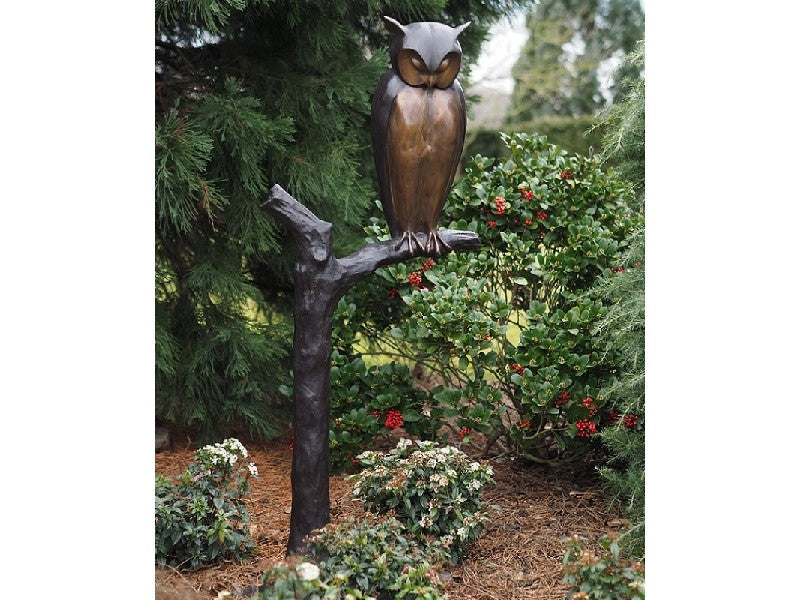 Owl On Tree