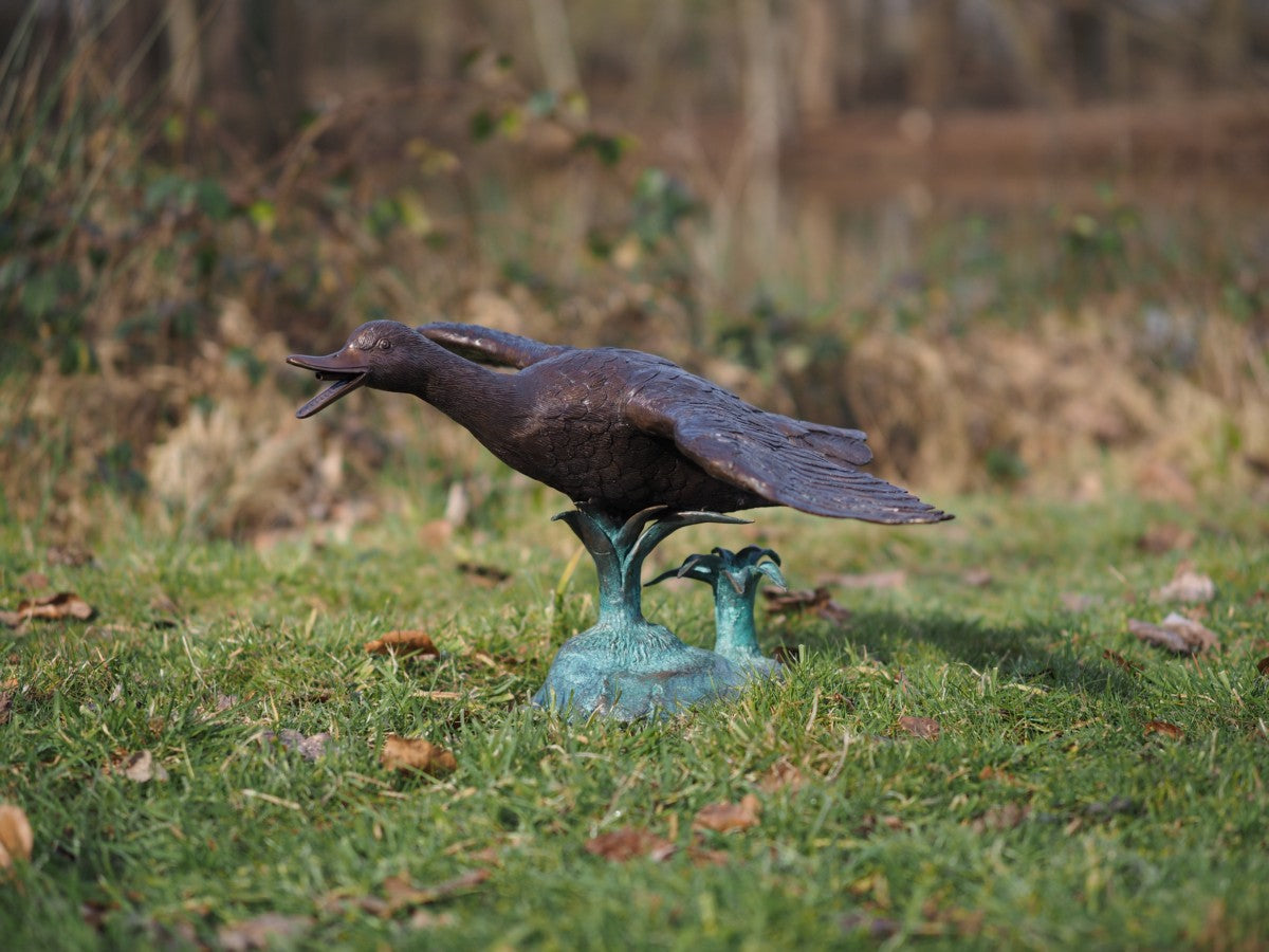 Flying duck