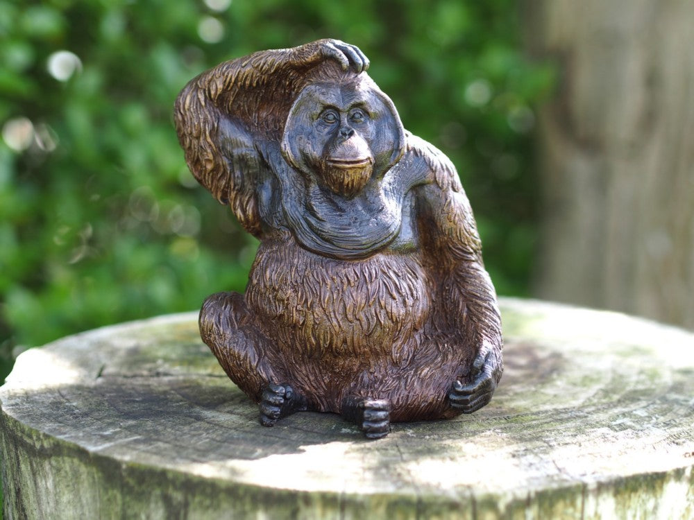 Orang Utan