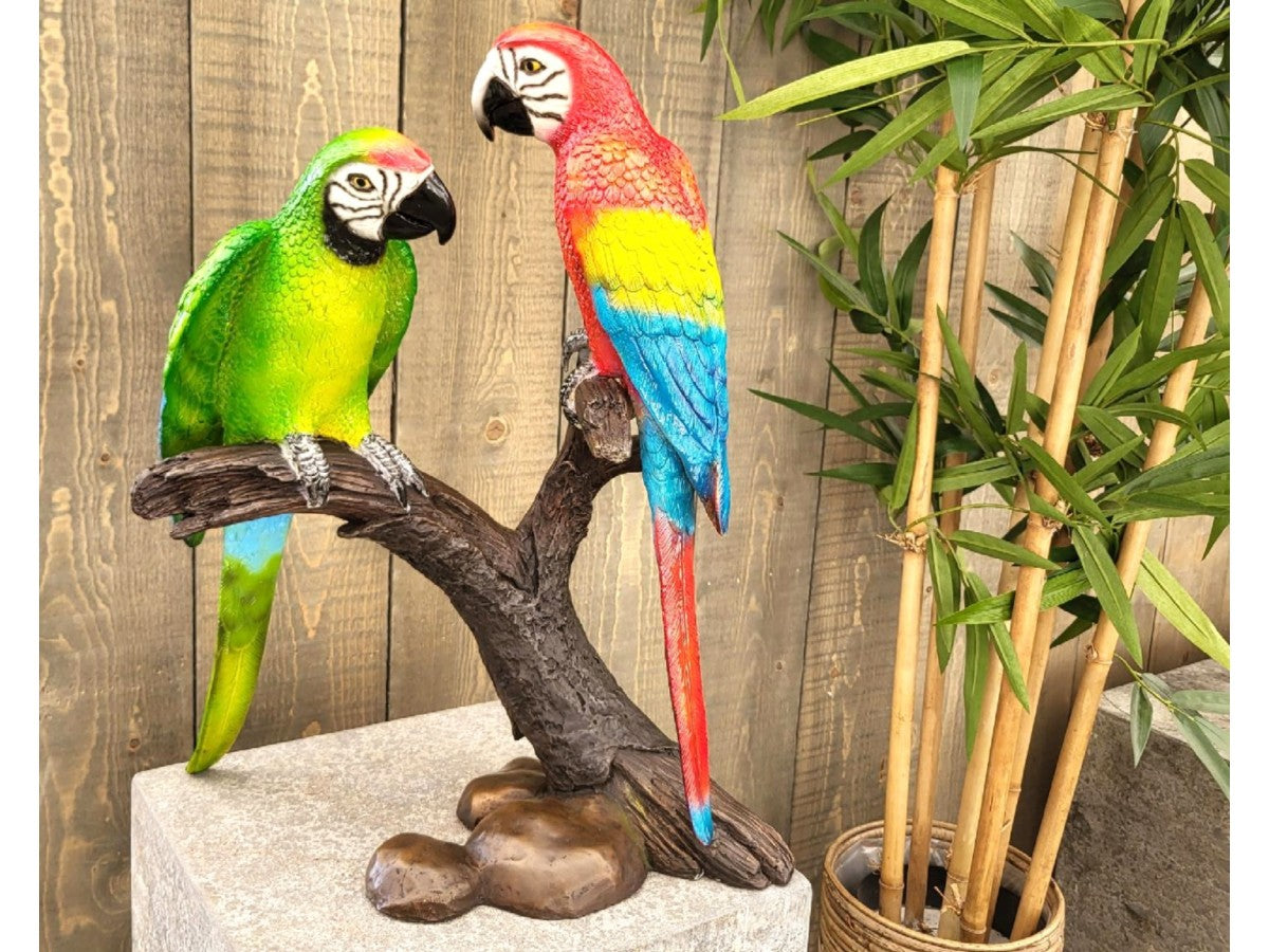 2 parrots on a branch