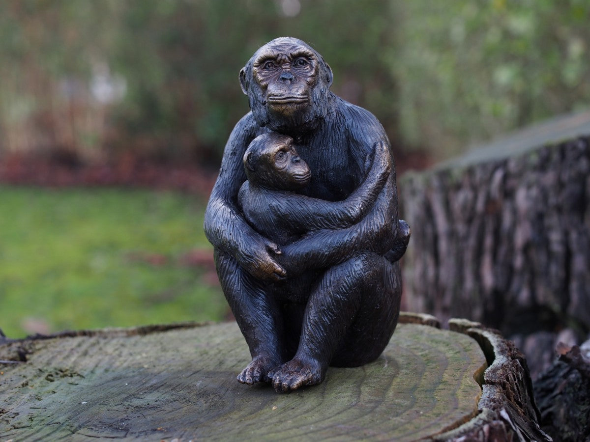 Monkey With Baby