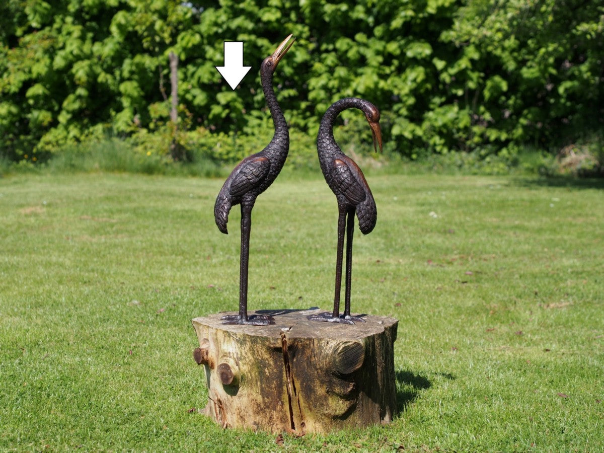 Crane Bird /Up