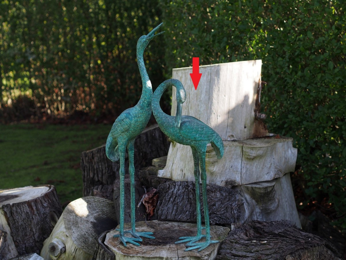 Crane Head Down
