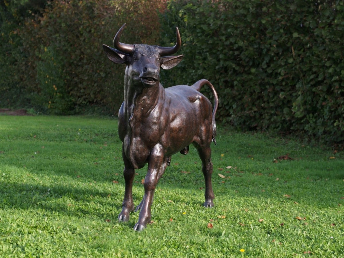 Bull