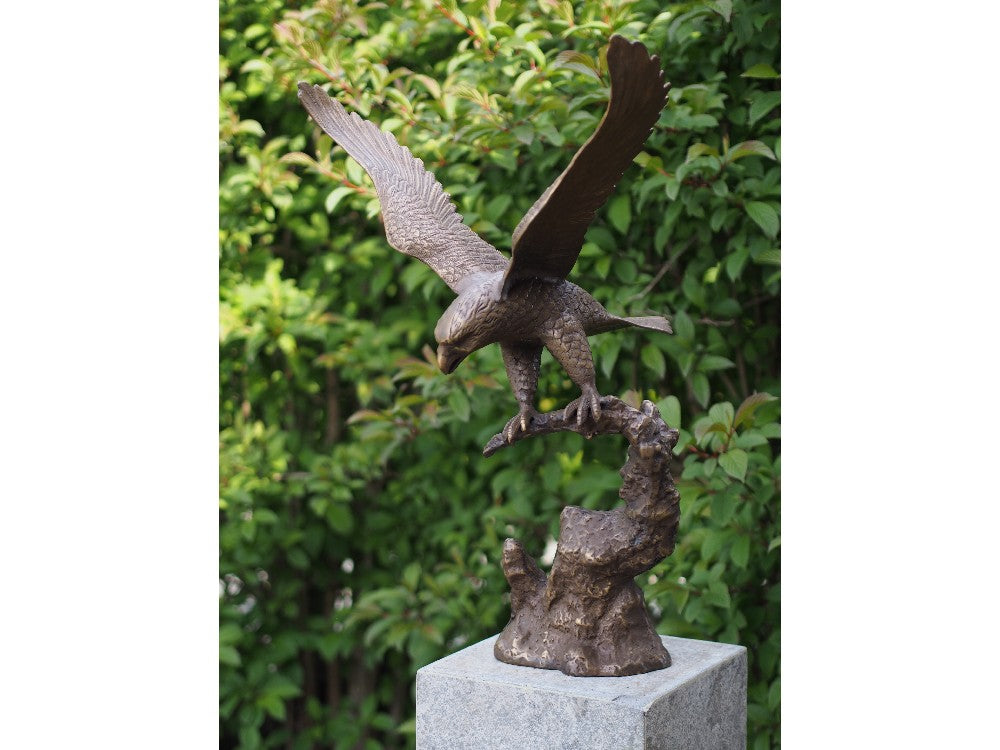 Eagle With Spreaded Wings
