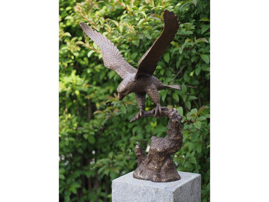 Eagle With Spreaded Wings