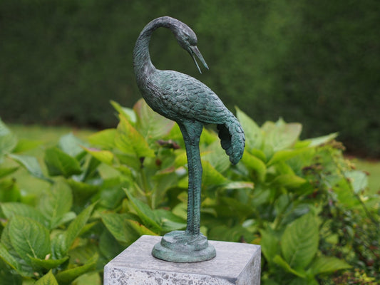 Small Crane Bird Bend Neck