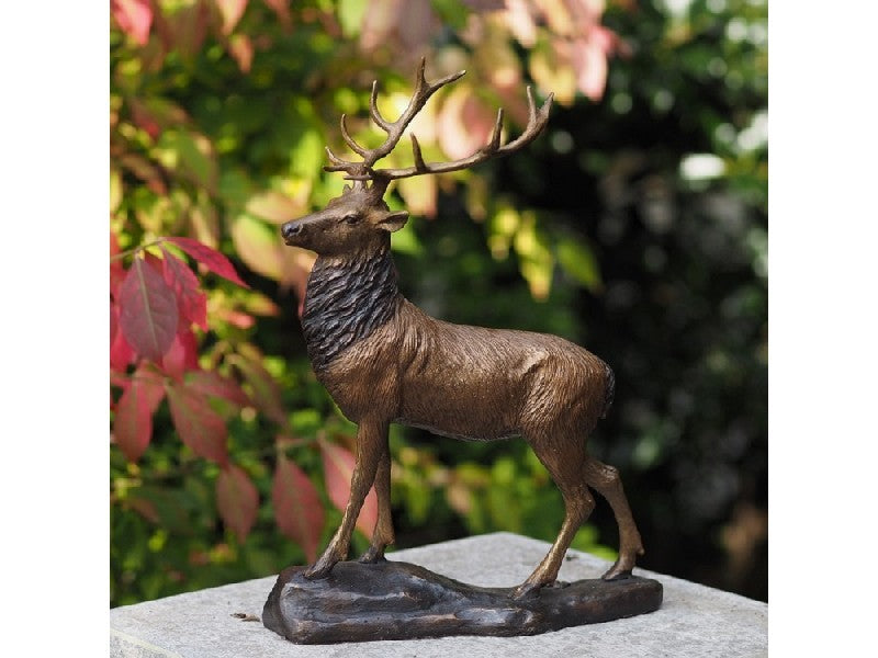 Small Deer