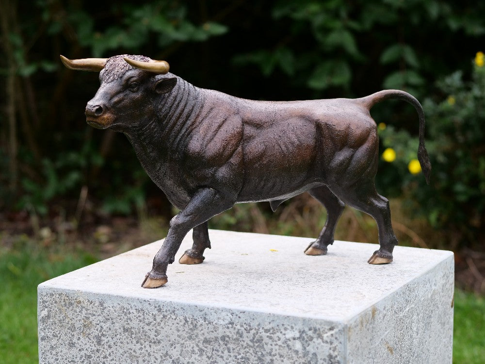 Bull