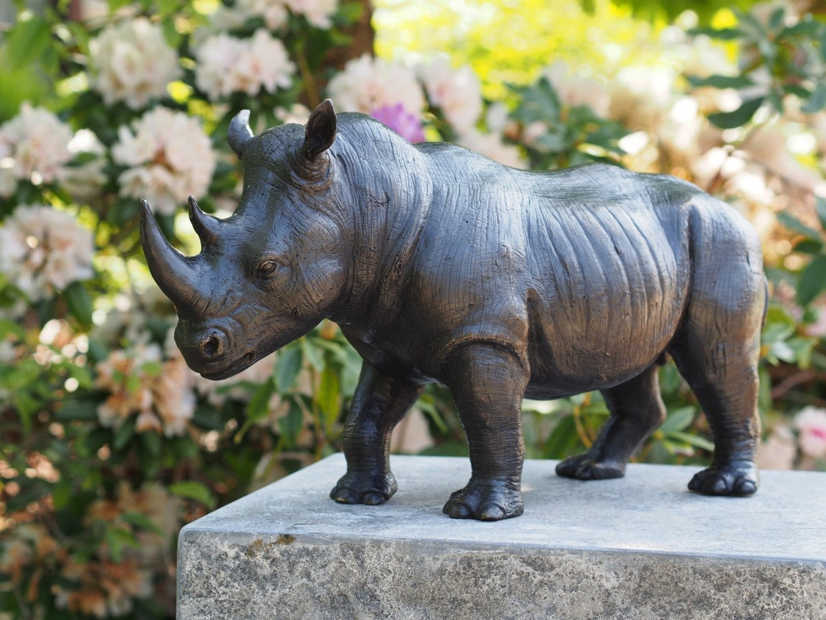Rhinoceros