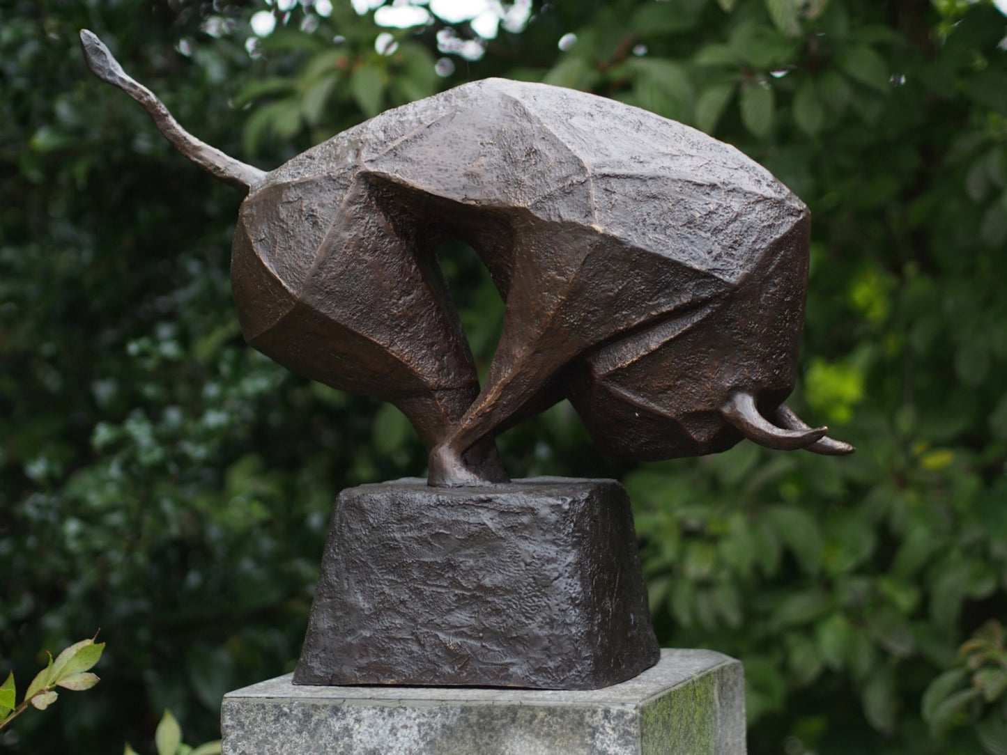 Modern Bull