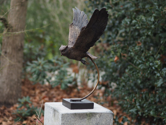 Owl On Base