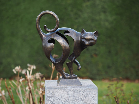 Cat modern