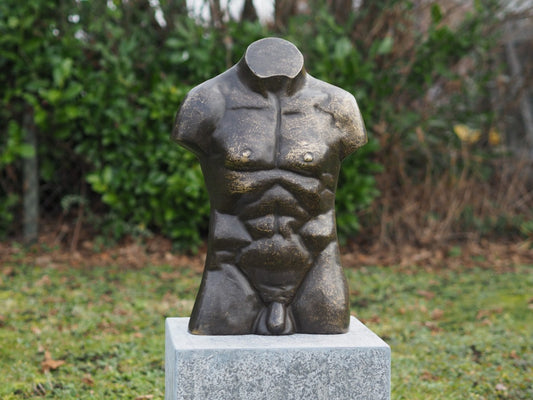 Large Bronze Male Torso
