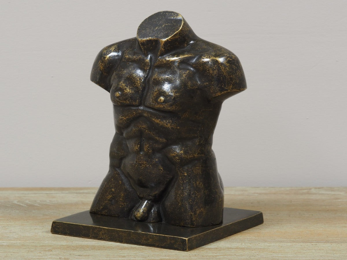 Small Bronze Male Torso