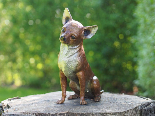 Chihuahua