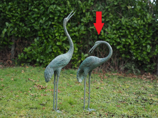 Crane Head Down