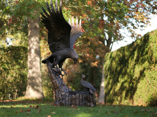 Eagle With Nest