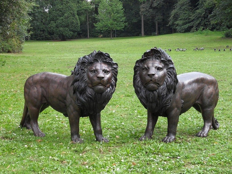Couple Of Lions