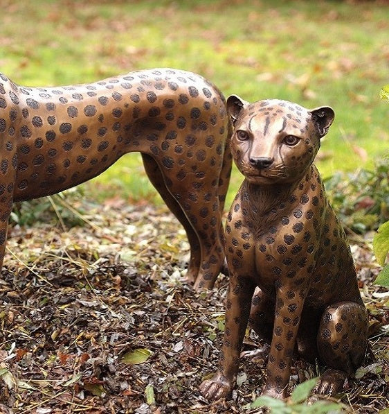 Sitting Cheetah