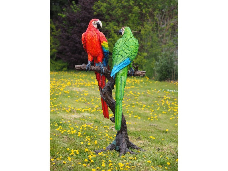Blue And Red Parrot On Tree