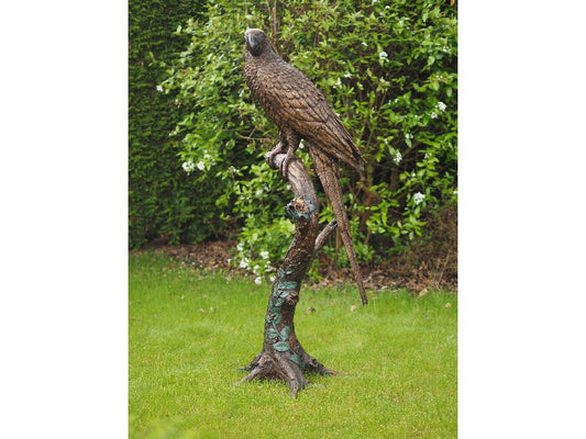 Parrot On Tree