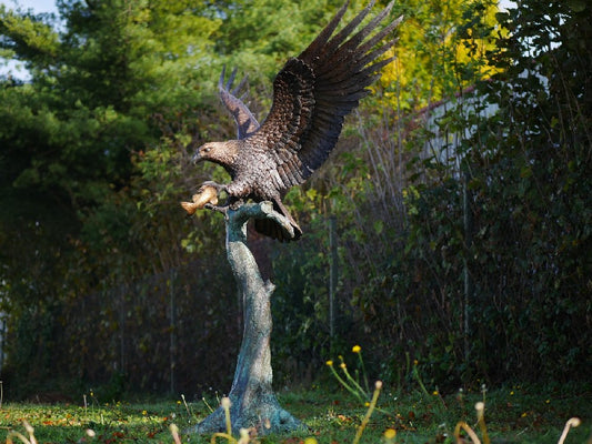 Eagle On Tree