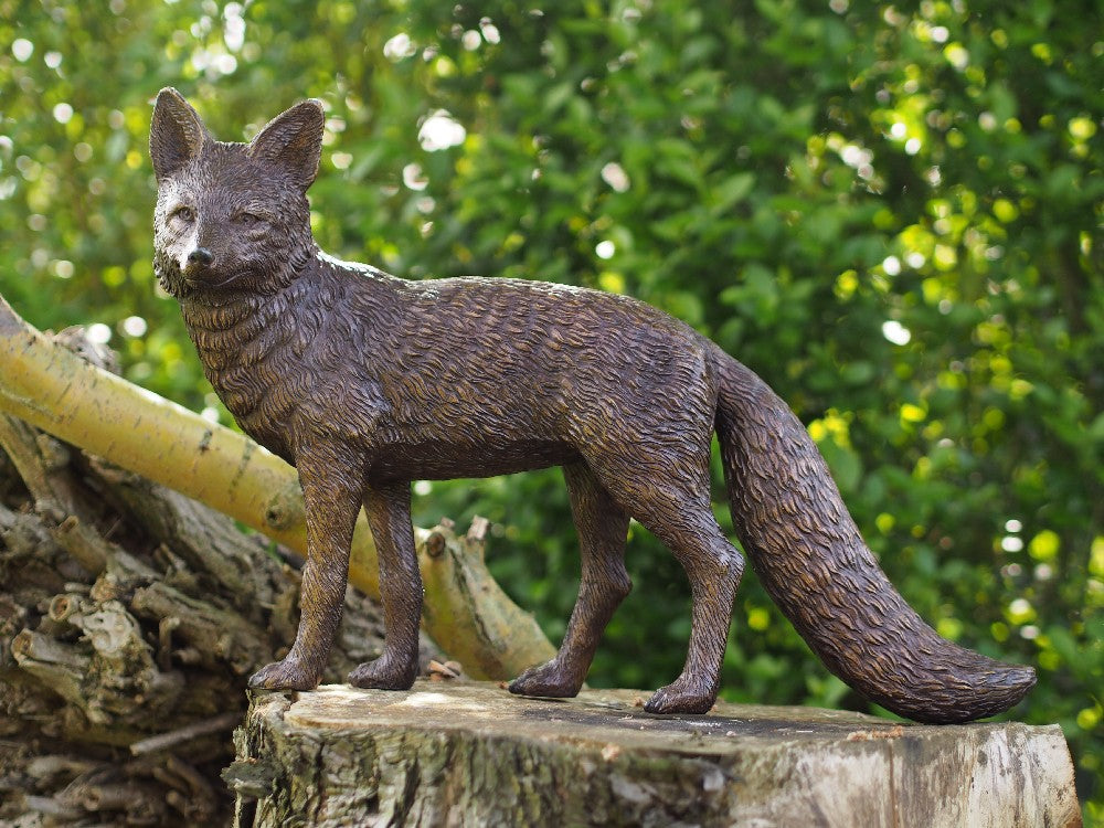 Fox