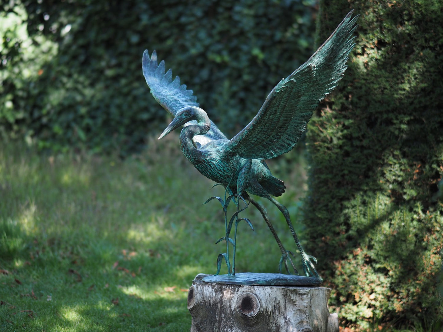 Flying Crane Bird