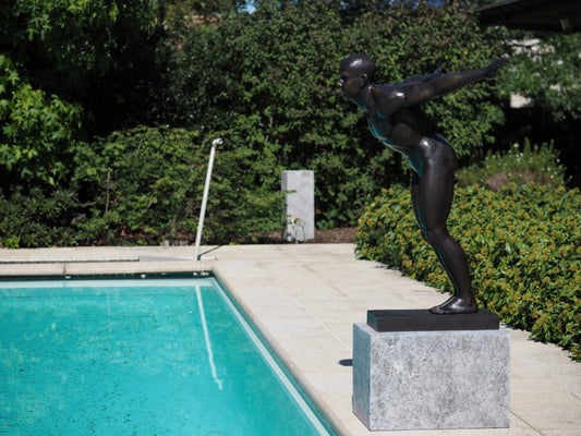 Diver David