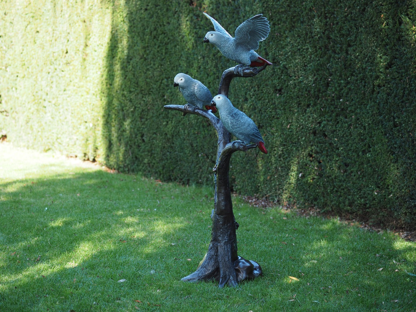 3 Grey Parrots
