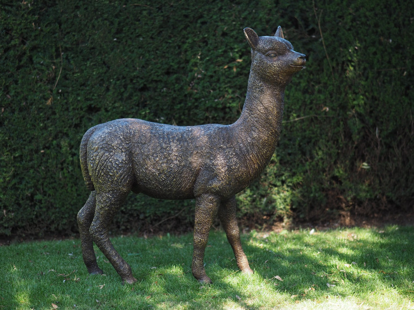 Alpaca