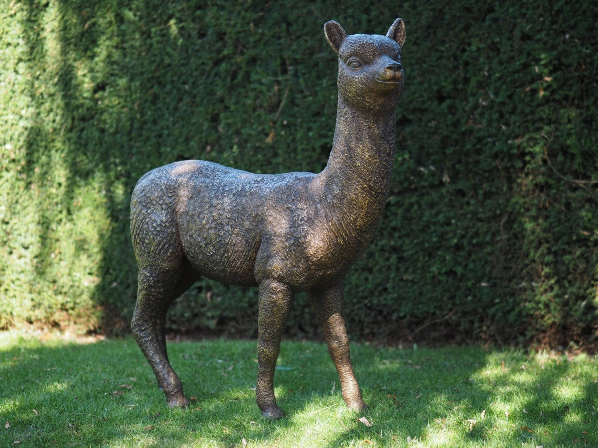 Alpaca