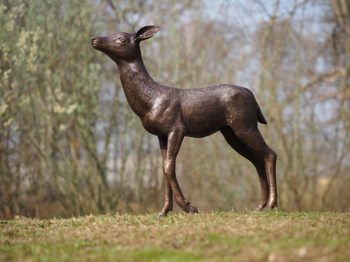 Fawn