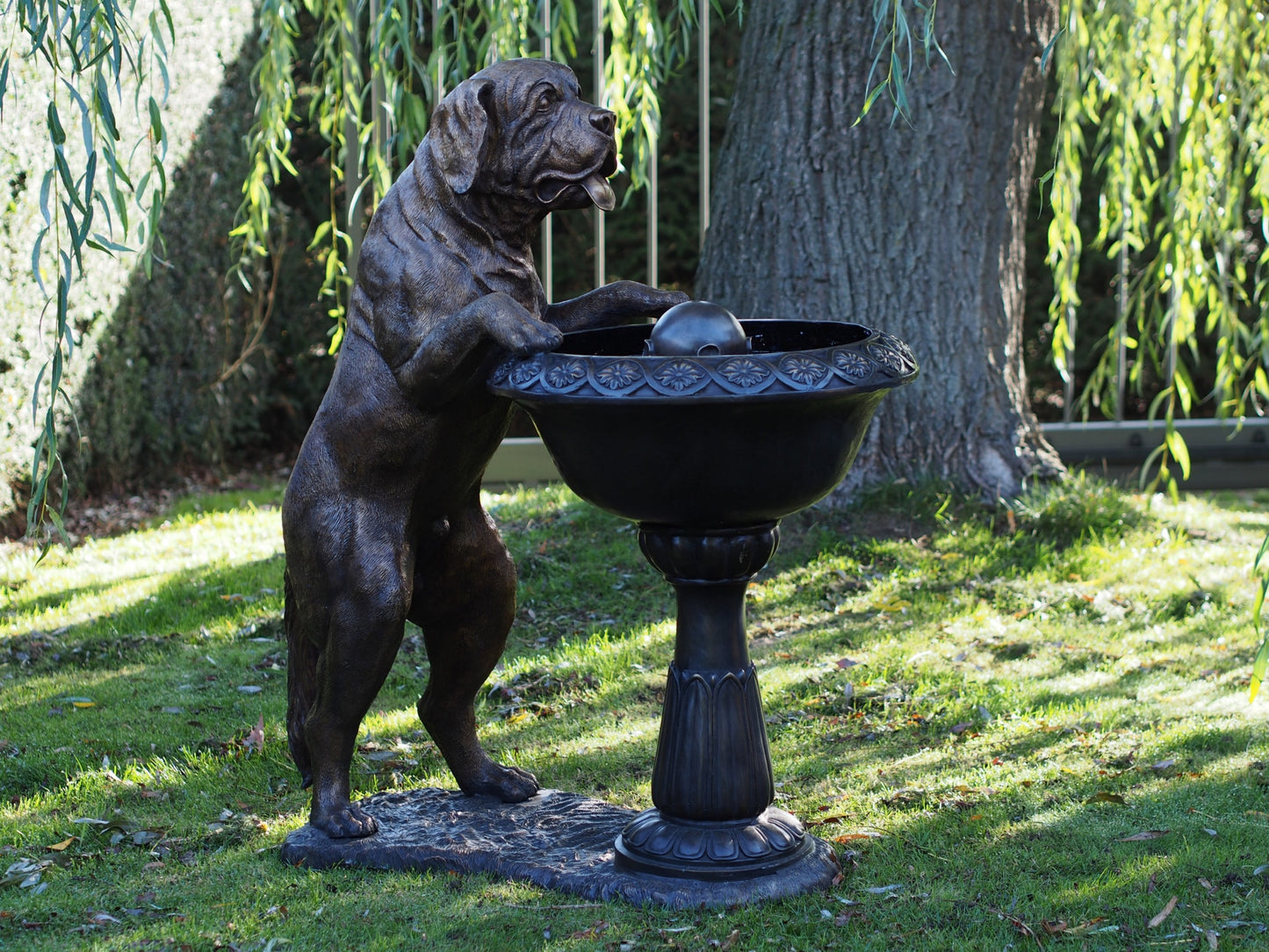 Dog With Fountain